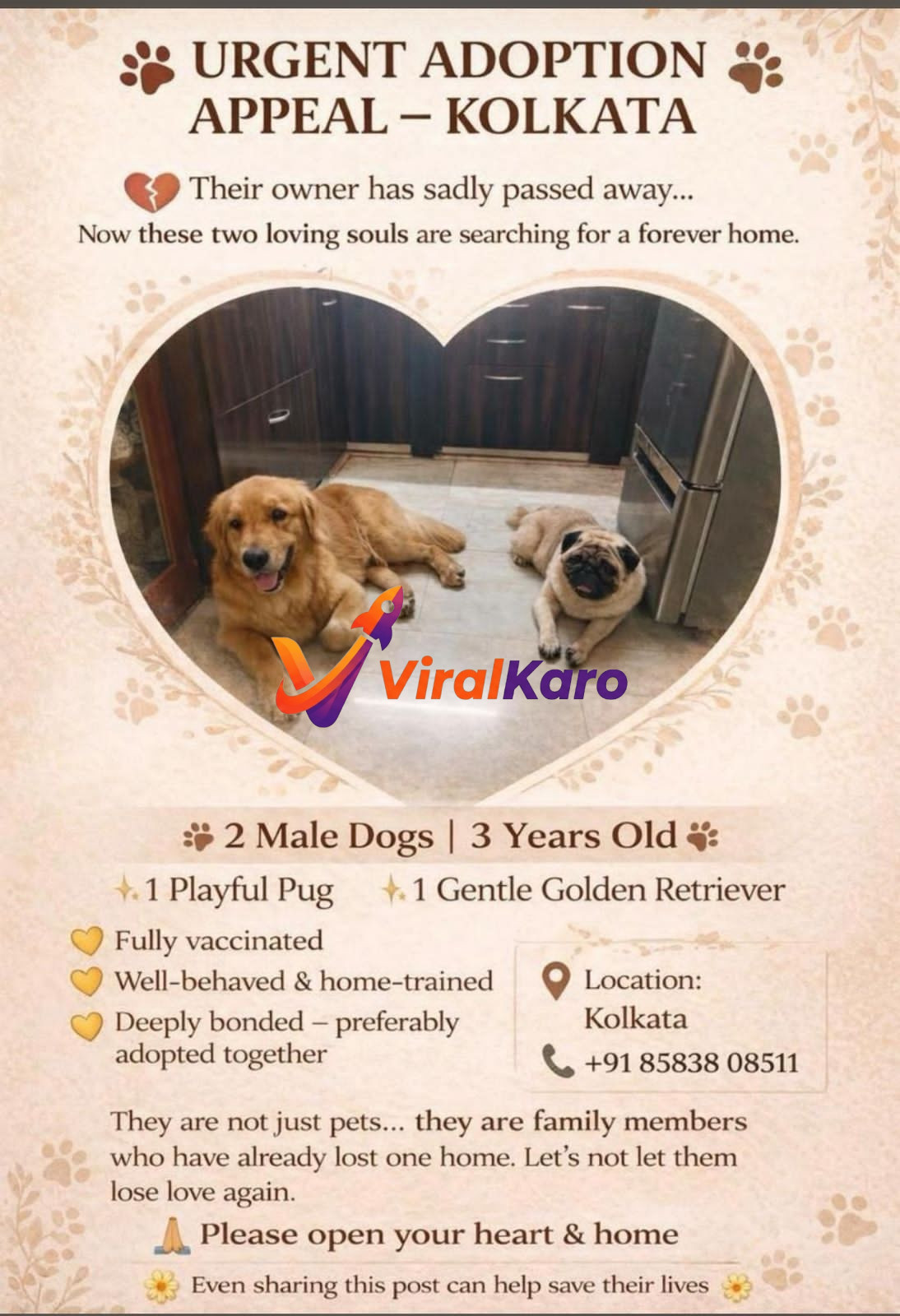 An urgent pet adoption appeal poster showing two male dogs, a light brown Golden Retriever and a fawn Pug, lying on a tiled floor in what appears to be a home kitchen. The poster has text detailing their ages (3 years), vaccination status, training, and the sad reason for adoption, located in Kolkata, with a contact number.
