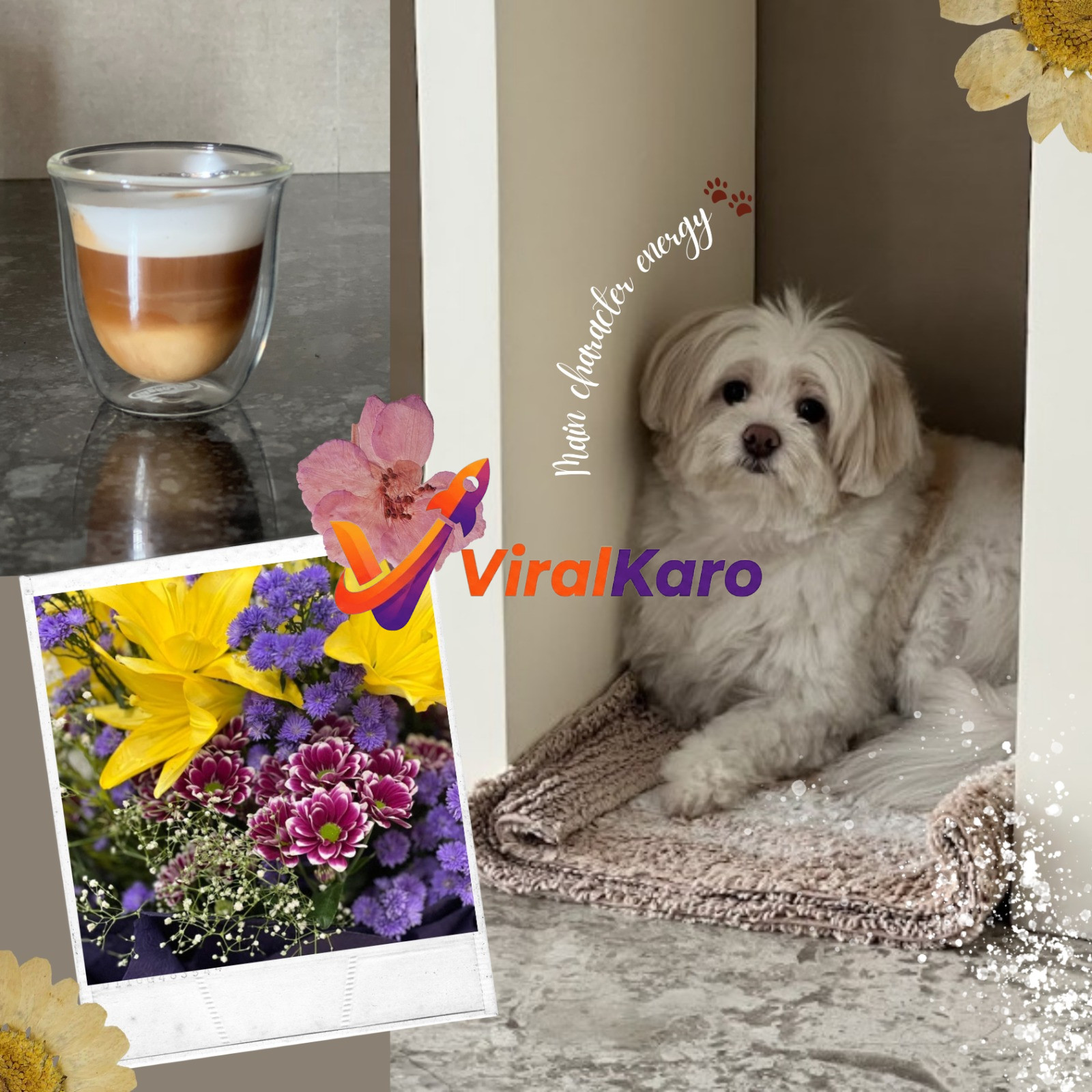 A lifestyle collage featuring a fluffy white dog with 'Main character energy' text, a layered glass coffee, and a vibrant bouquet of yellow lilies, purple statice, and magenta chrysanthemums, decorated with dried flowers.